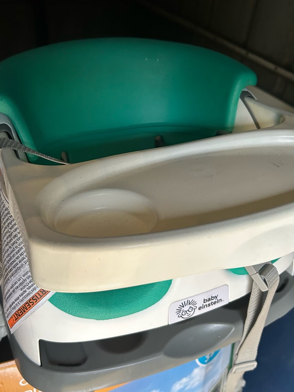 Baby Einstein Teal Infant Booster Seat with Removable Tray